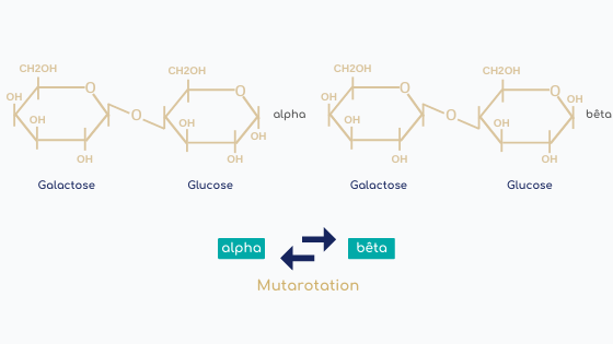 mutarotation lactose