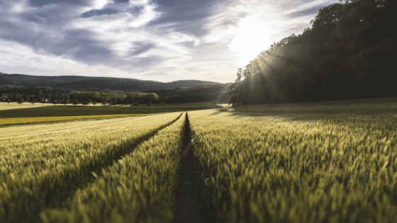 produit laitier environnement