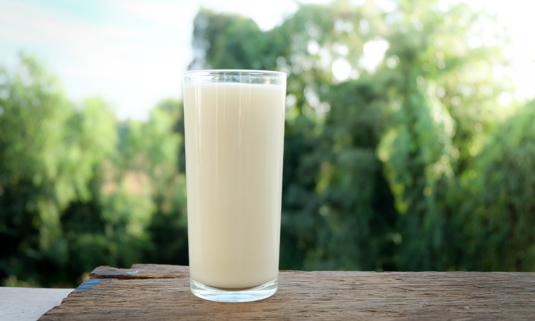 lactose-free ingredients dairy