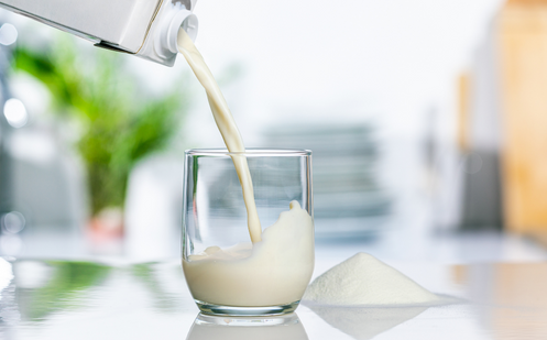 Poudre de lait écrémé pour les bouillettes crémeuses