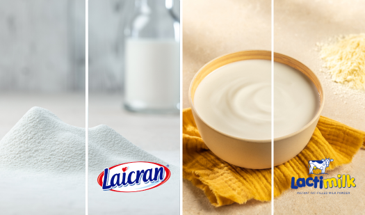 Milk powder yogurt