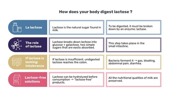 Lactose digestion