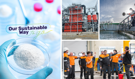 Sustainable 