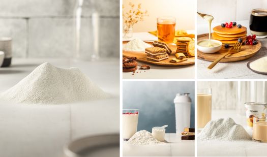 Dairy ingredients