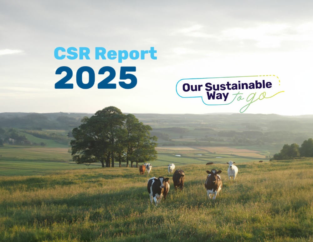 Sustainability report 2025