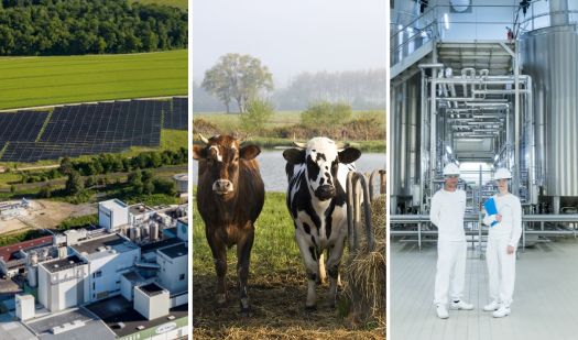 Rapport RSE Lactalis