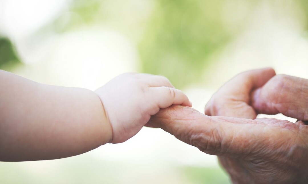 Qualité ingrédients infantile et clinique
